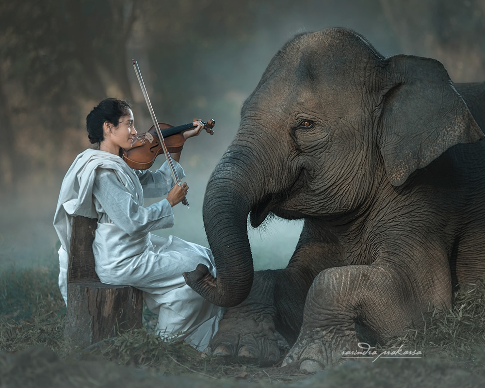 Elephant: A Soulful Fine Art Photographs By Rarindra Prakarsa