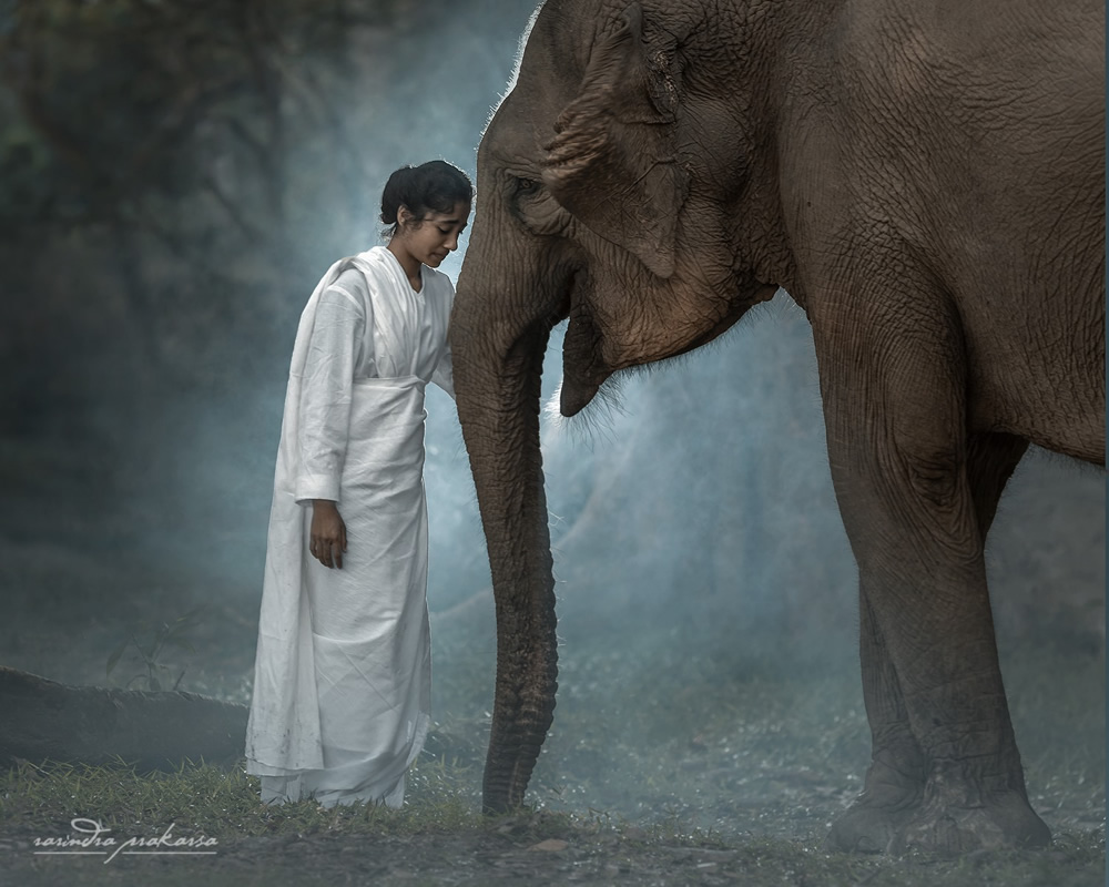 Elephant: A Soulful Fine Art Photographs By Rarindra Prakarsa