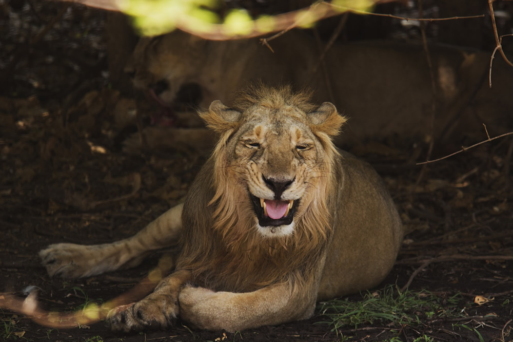 My Personal Best: Indian Photographer Hiren Joshi