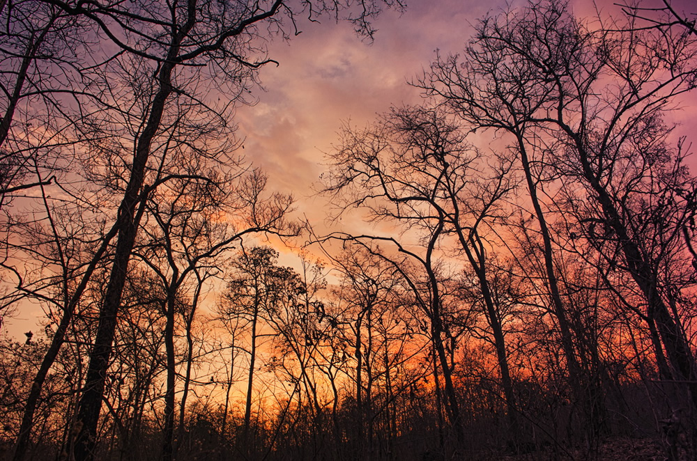 My Personal Best: Indian Photographer Hiren Joshi