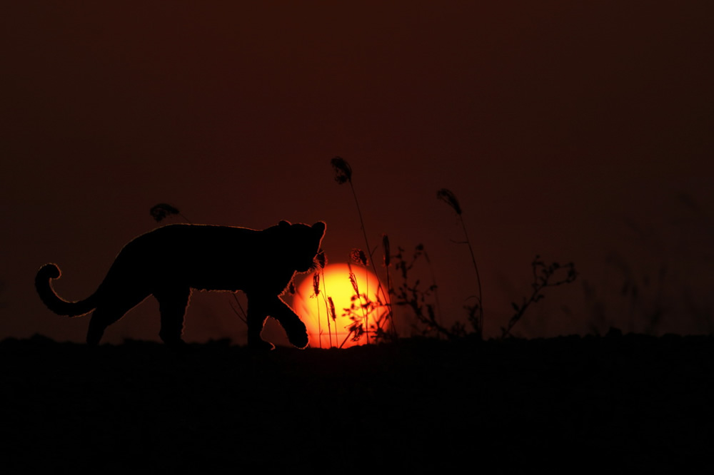 My Personal Best: Indian Photographer Hiren Joshi