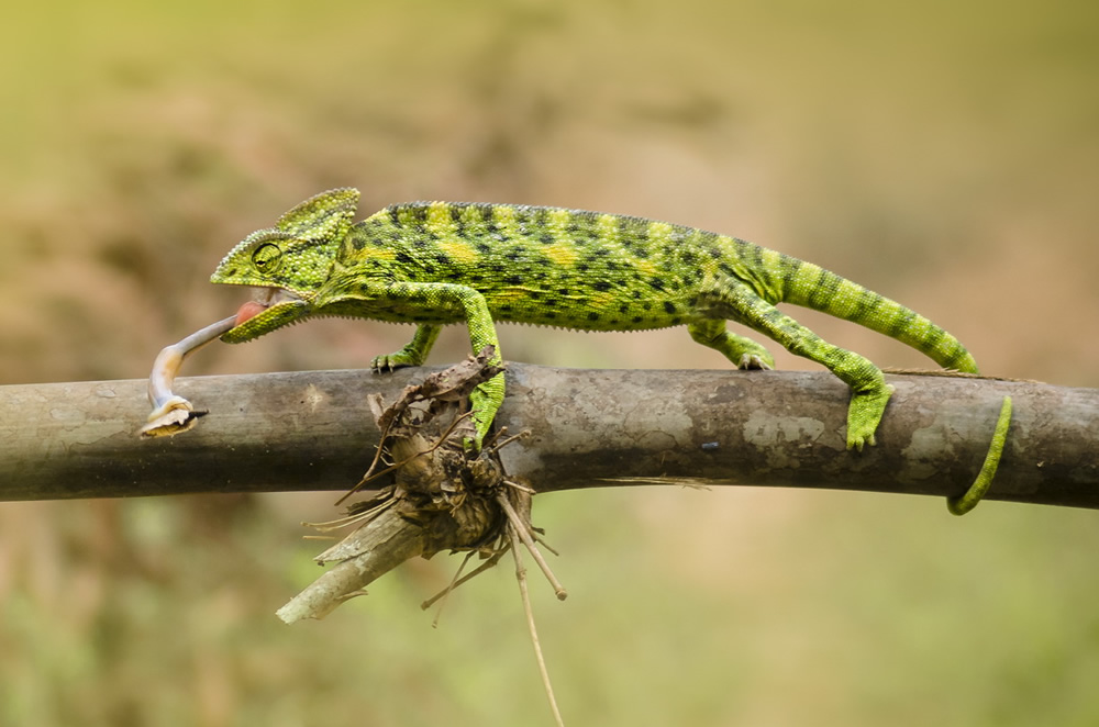 My Personal Best: Indian Photographer Hiren Joshi