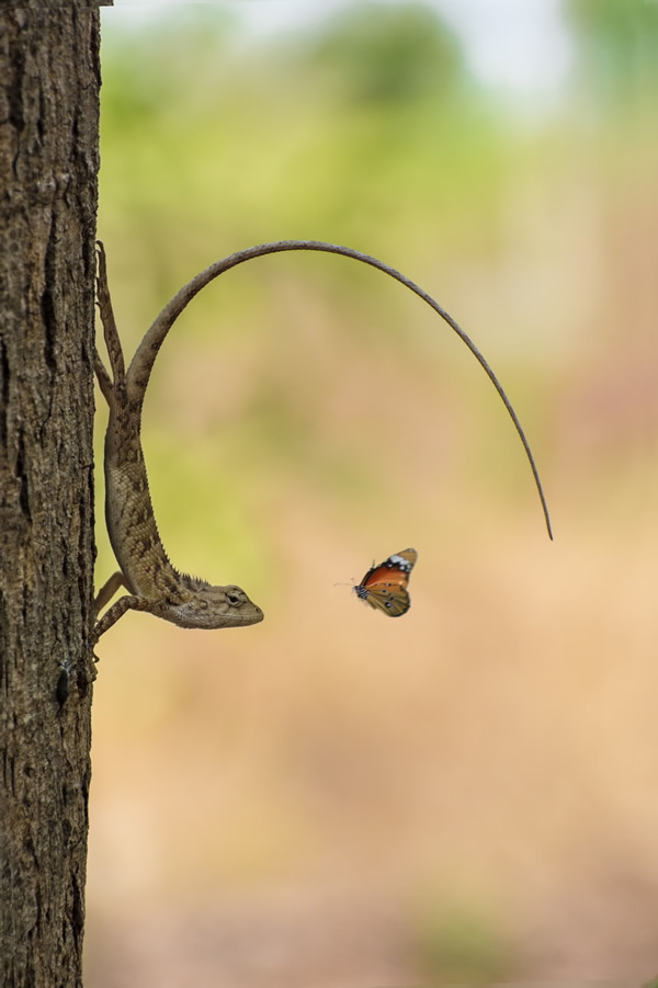 My Personal Best: Indian Photographer Hiren Joshi