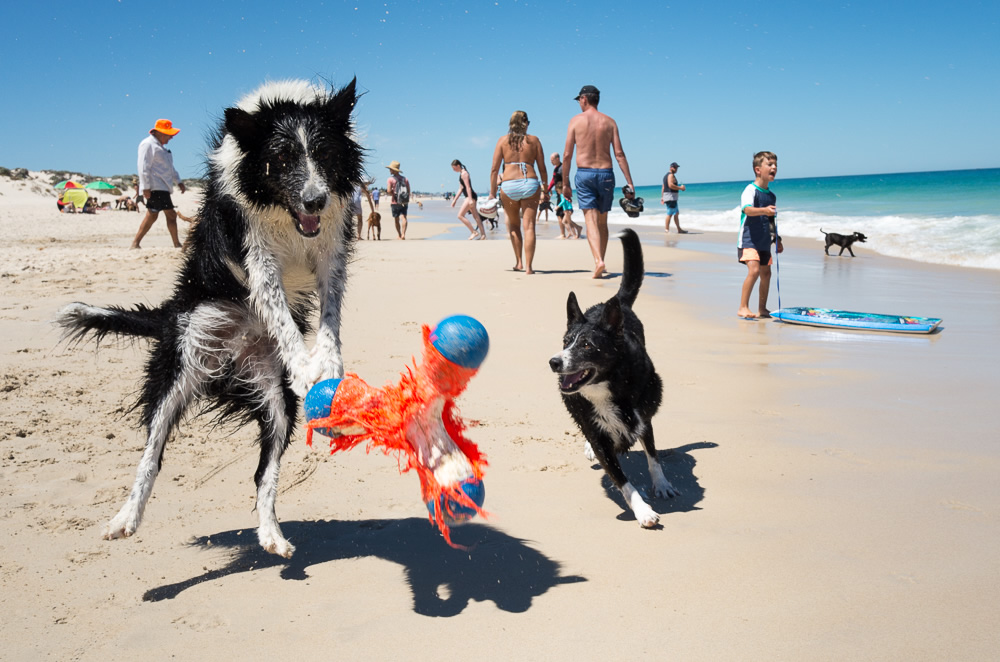 My Personal Best: Australian Street Photographer Rebecca Wiltshire