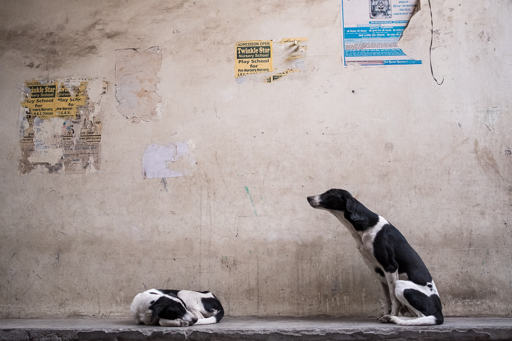 My Personal Best: Australian Street Photographer Rebecca Wiltshire