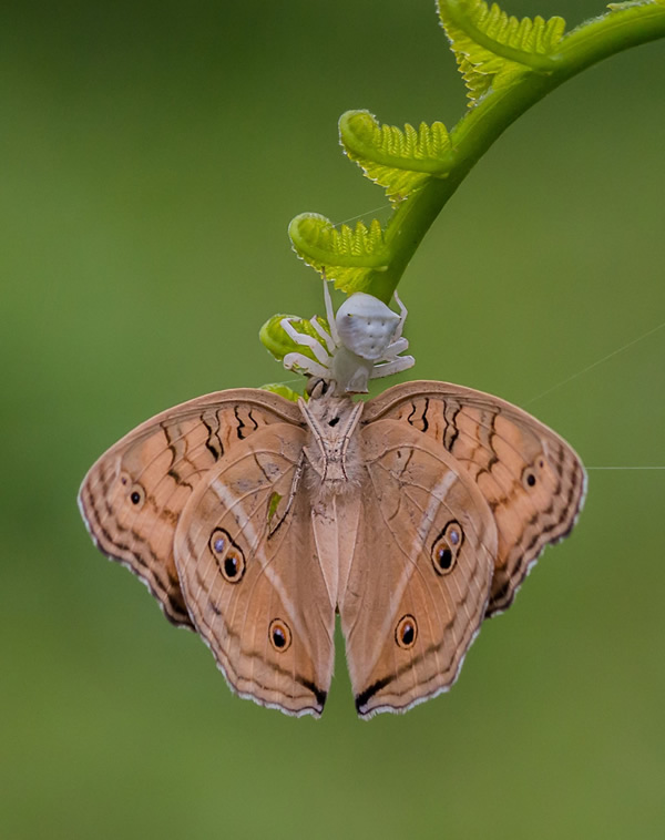 Arnab Debnath - Beyond Vision Photographers Of The Month