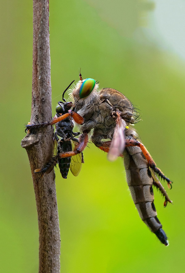 Sandip Guha - Beyond Vision Photographers Of The Month