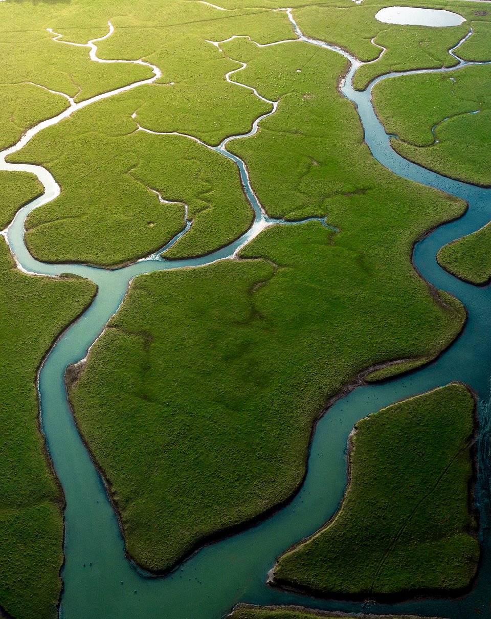 Veins of earth