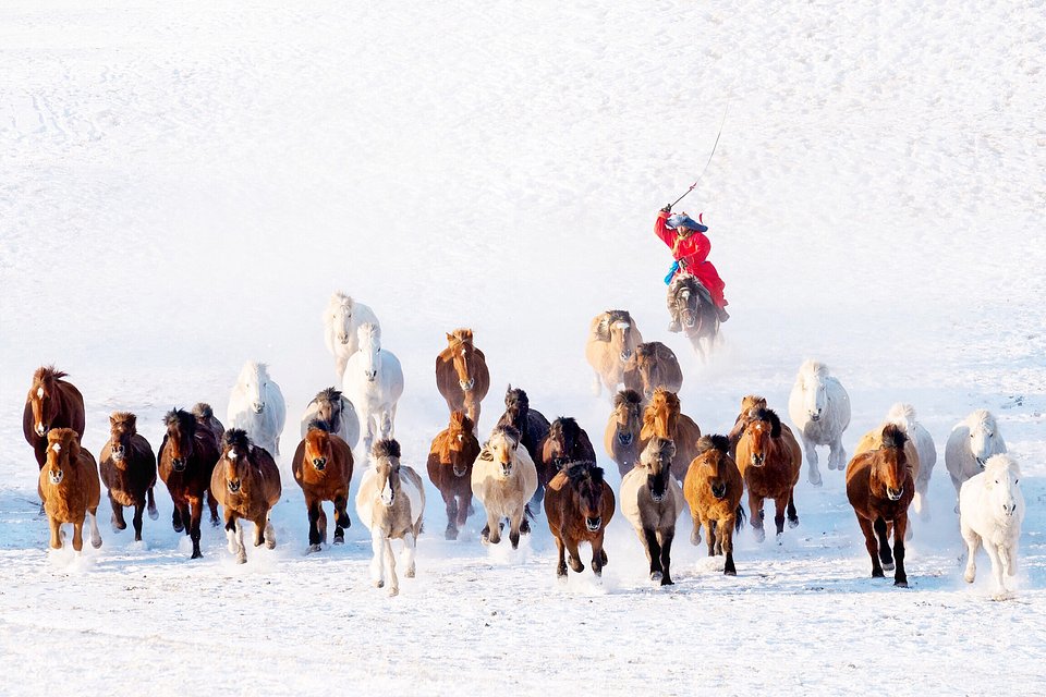 Snow Horseman