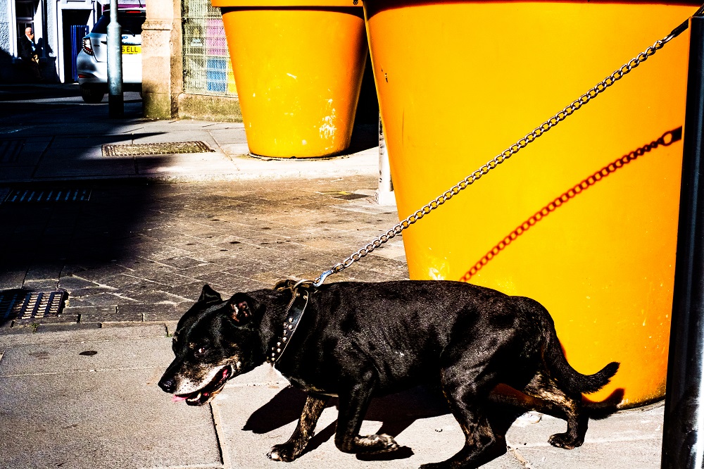 My Personal Best: Hungarian Street Photographer Kosa Krisztian