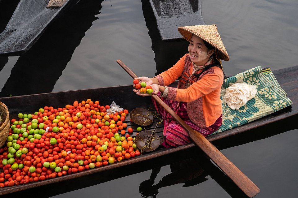 Vendor - Best Red Color Photography