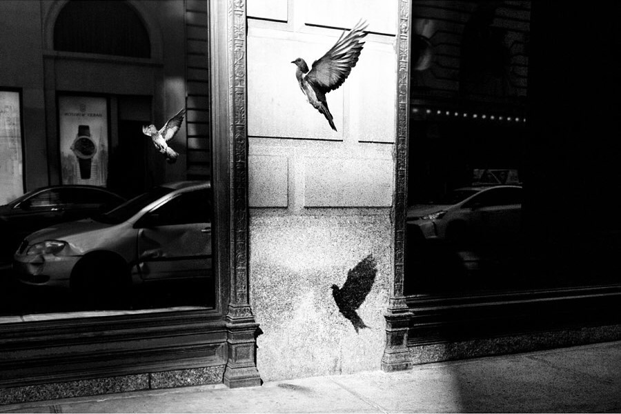 The Best Street Photography Art of Composition