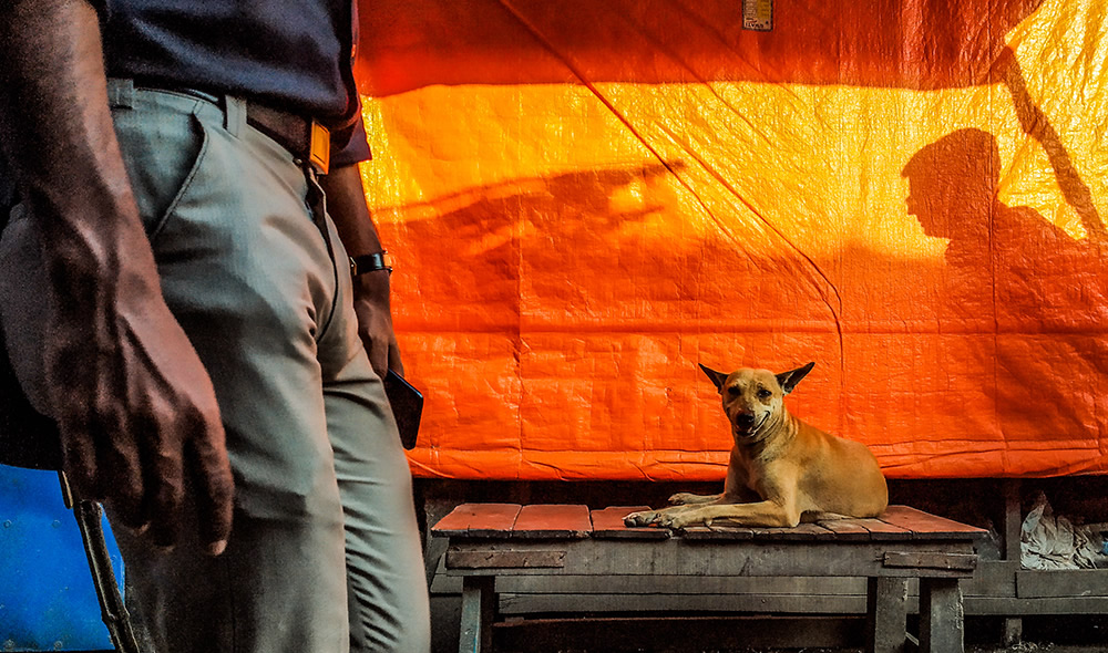 My Personal Best: Indian Street Photographer Ankita Paul