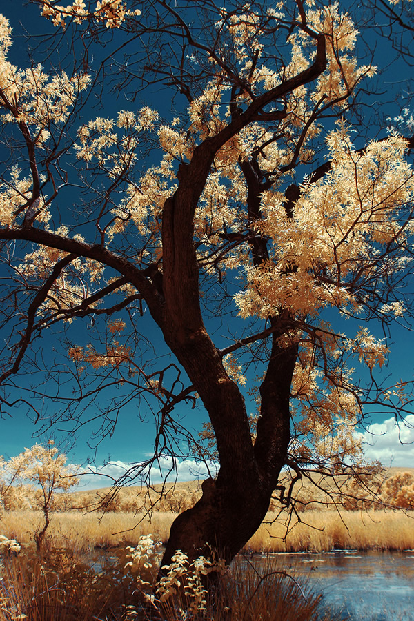 My Personal Best: Turkish Landscape Photographer Galip Cetiner