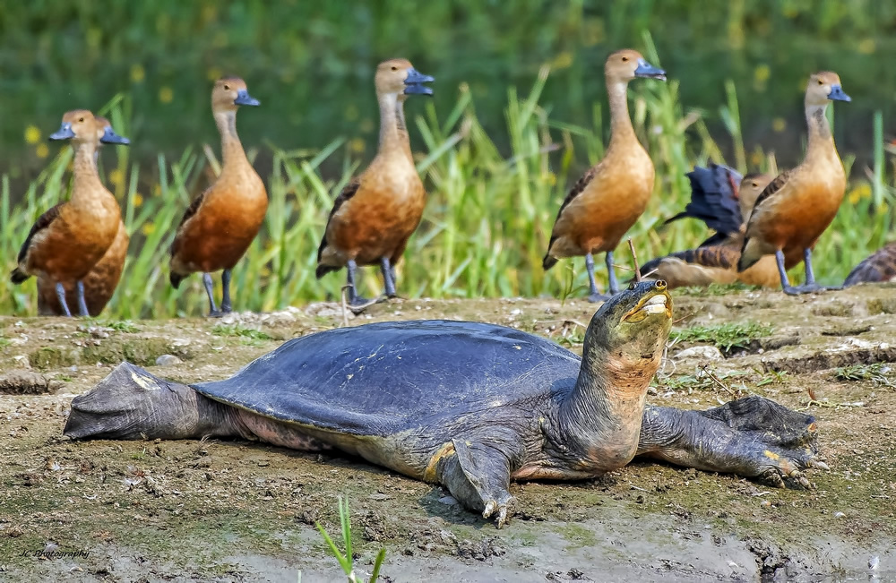 My Personal Best: Indian Nature Photographer Jayeeta Chowdhury