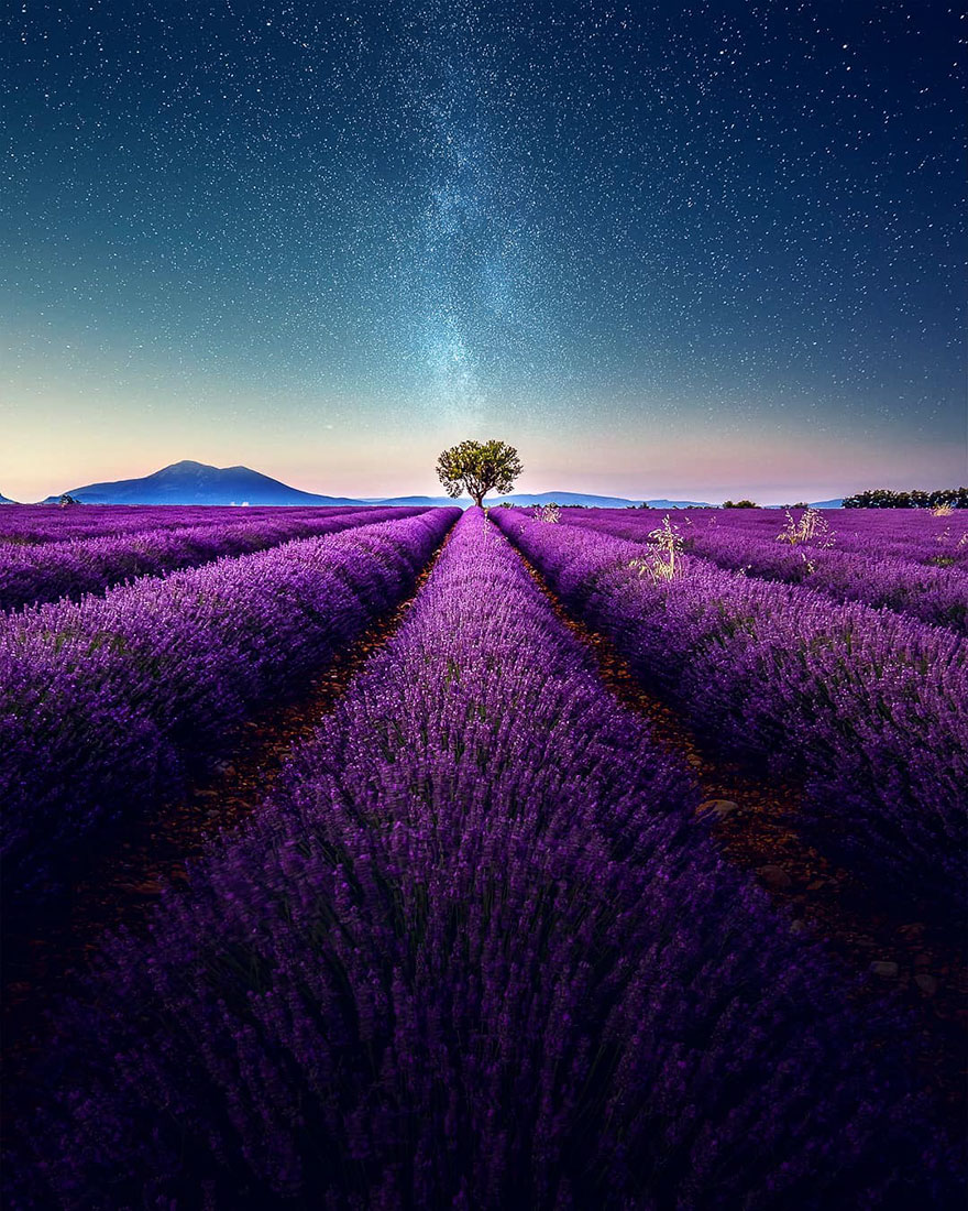 Stunning Landscapes Of A Lavender Field In Southern France By Samir Belhamra