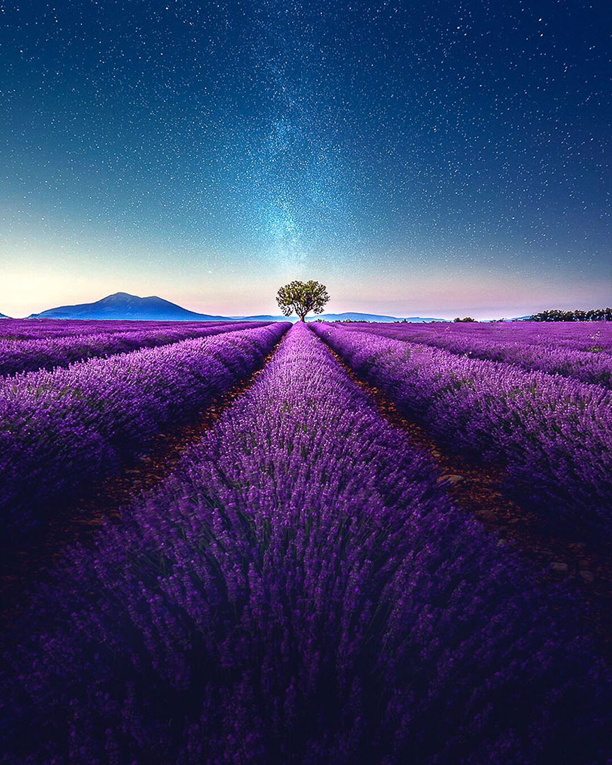 Stunning Landscapes Of A Lavender Field In Southern France By Samir Belhamra