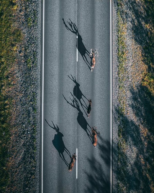 Family - Russia 