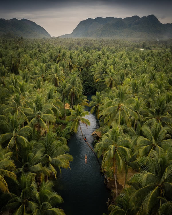 Jungle Life - Siargao island, Philippines