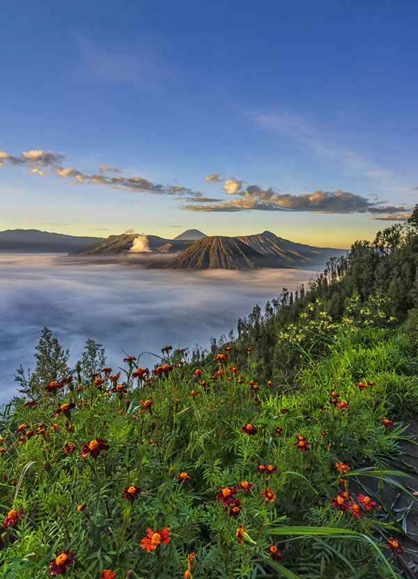 Beautiful morning in Bromo - Mount Bromo, Indonesia