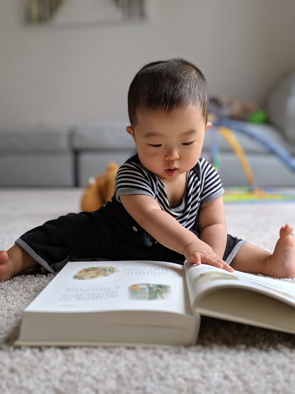 Baby reading - USA