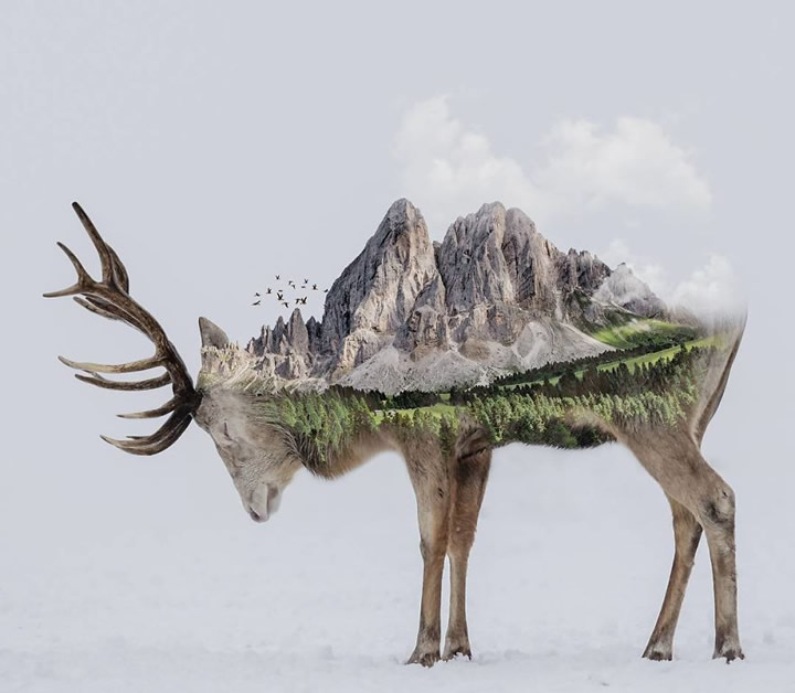 Creative Photo Manipulations Of Animals By Indonesian Digital Artist Aditya Aryanto