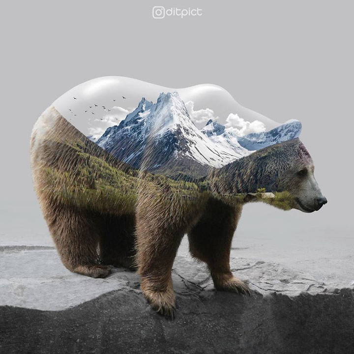 Creative Photo Manipulations Of Animals By Indonesian Digital Artist Aditya Aryanto