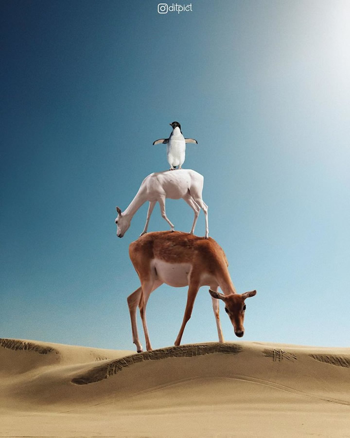 Creative Photo Manipulations Of Animals By Indonesian Digital Artist Aditya Aryanto