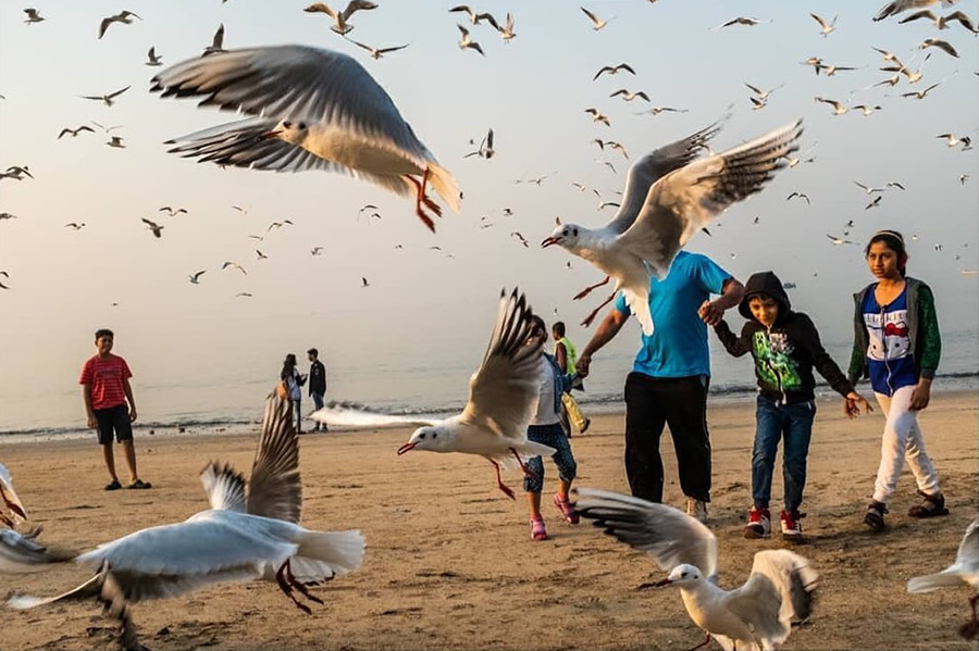 Best Street Photography Composition Photographs