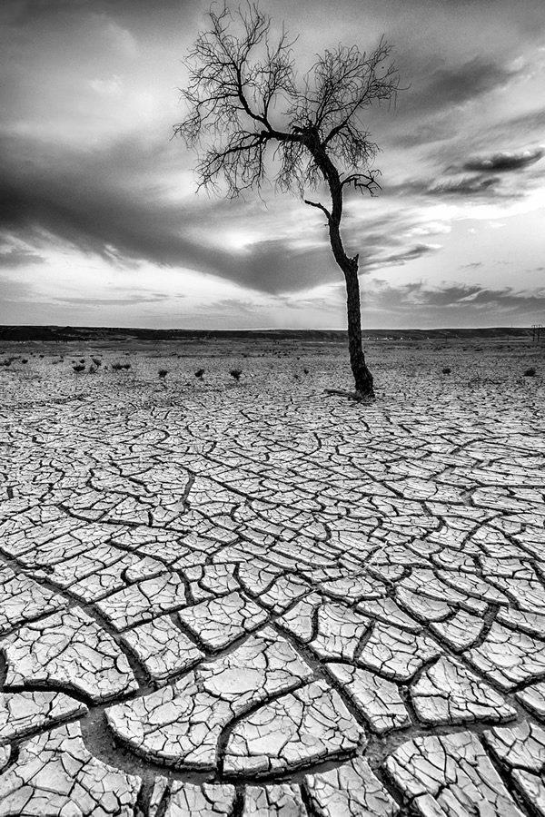 Indian Nature Photographer Soumya N Ghosh In Conversation With Raj Sarkar