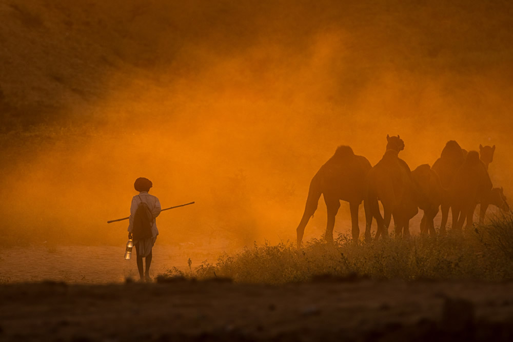 Pushkar Camel Fair, Rajasthan