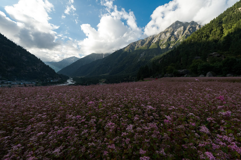 Rakchham, Himachal