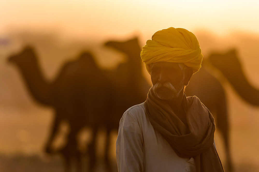 Pushkar Camel Fair, Rajasthan