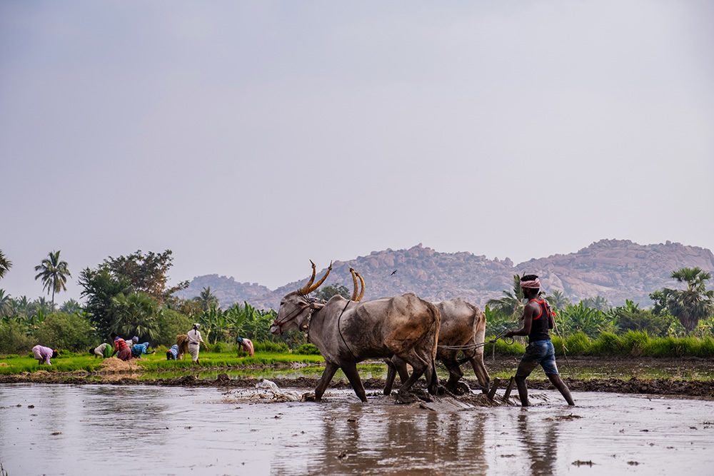 My Personal Best: Indian Photographer Shreenivas Yenni