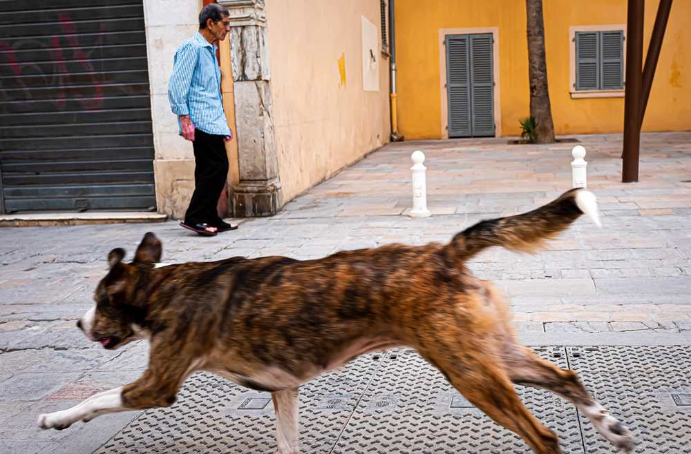 My Personal Best: Street Photographer Gerard Dubois