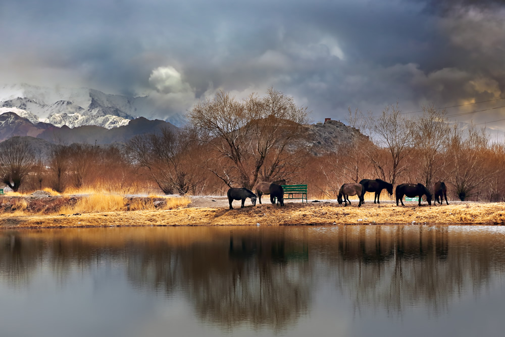 Indian Nature Photographer Kalpana Chatterjee In Conversation With Raj Sarkar