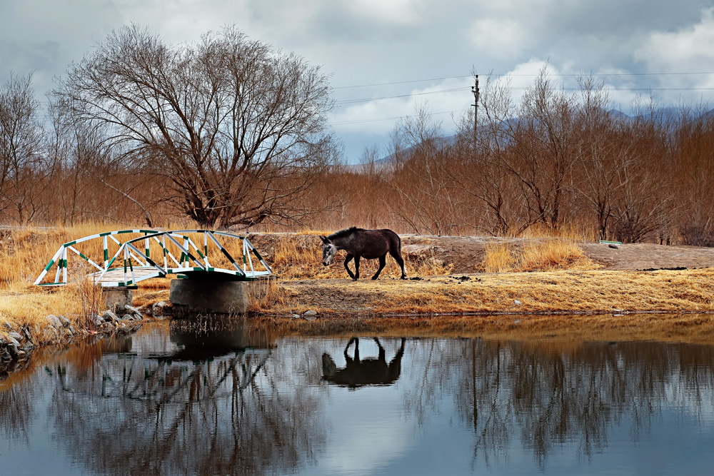 Indian Nature Photographer Kalpana Chatterjee In Conversation With Raj Sarkar