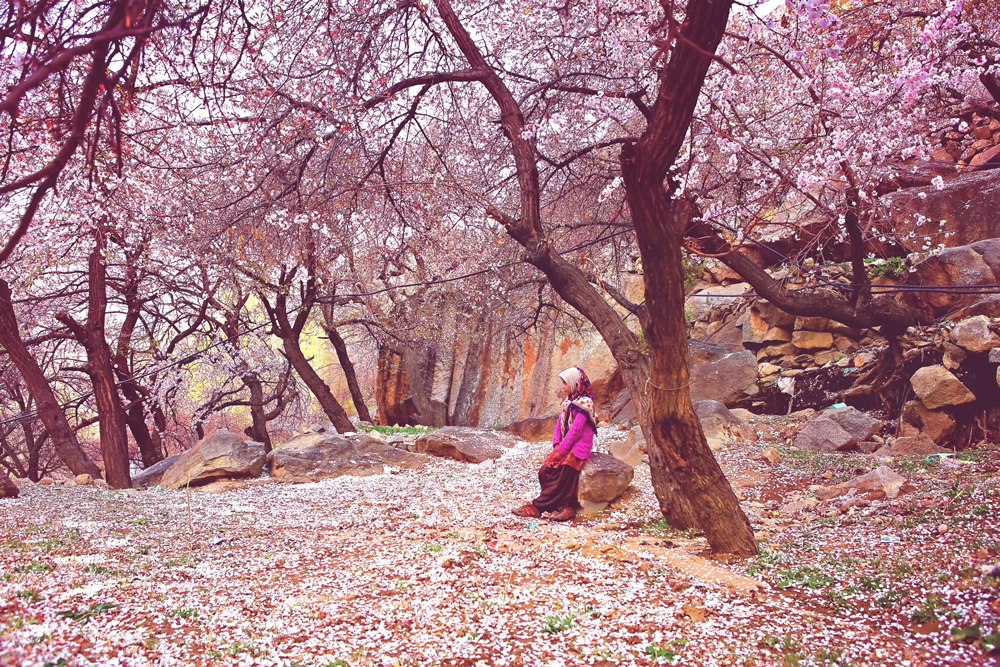 Indian Nature Photographer Kalpana Chatterjee In Conversation With Raj Sarkar