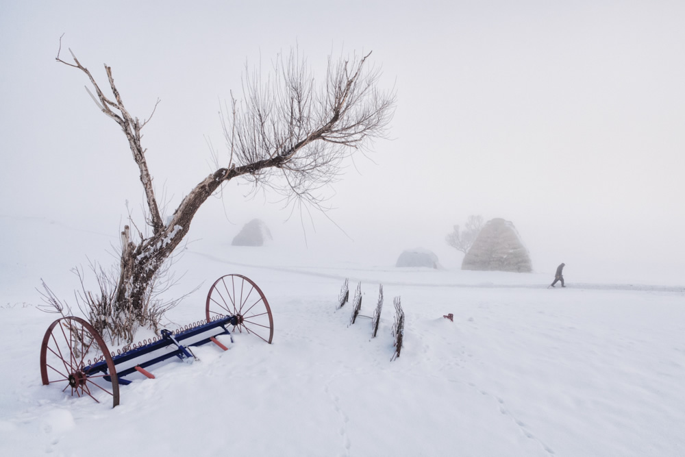 My Personal Best: Turkish Photographer Nadir Bucan