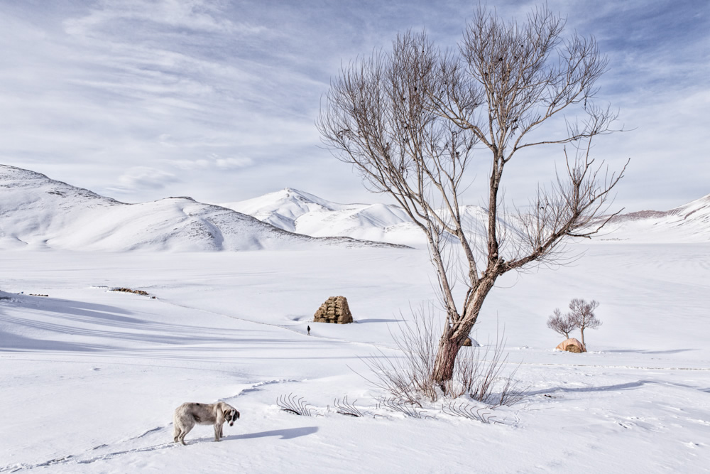 My Personal Best: Turkish Photographer Nadir Bucan