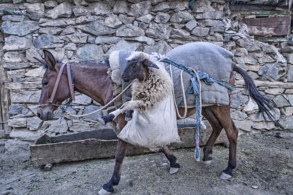 My Personal Best: Turkish Photographer Nadir Bucan