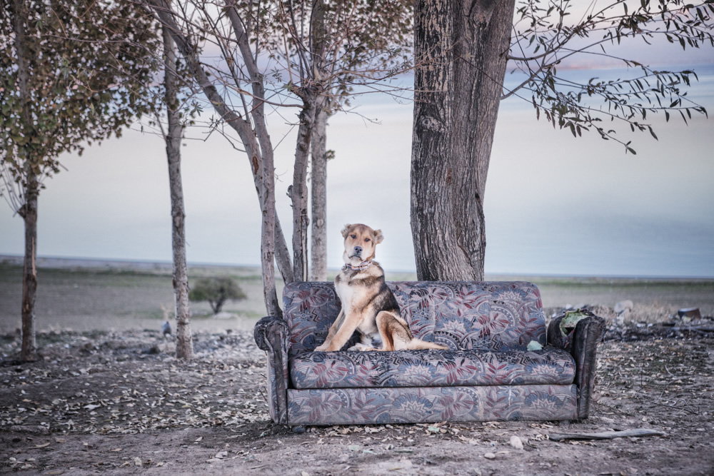 My Personal Best: Turkish Photographer Nadir Bucan