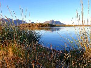 Birgir Viðar Halldórsson, Iceland