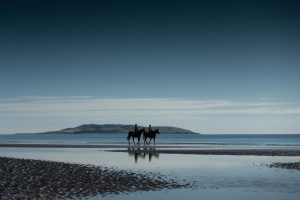 Alain Rochecouste, Ireland