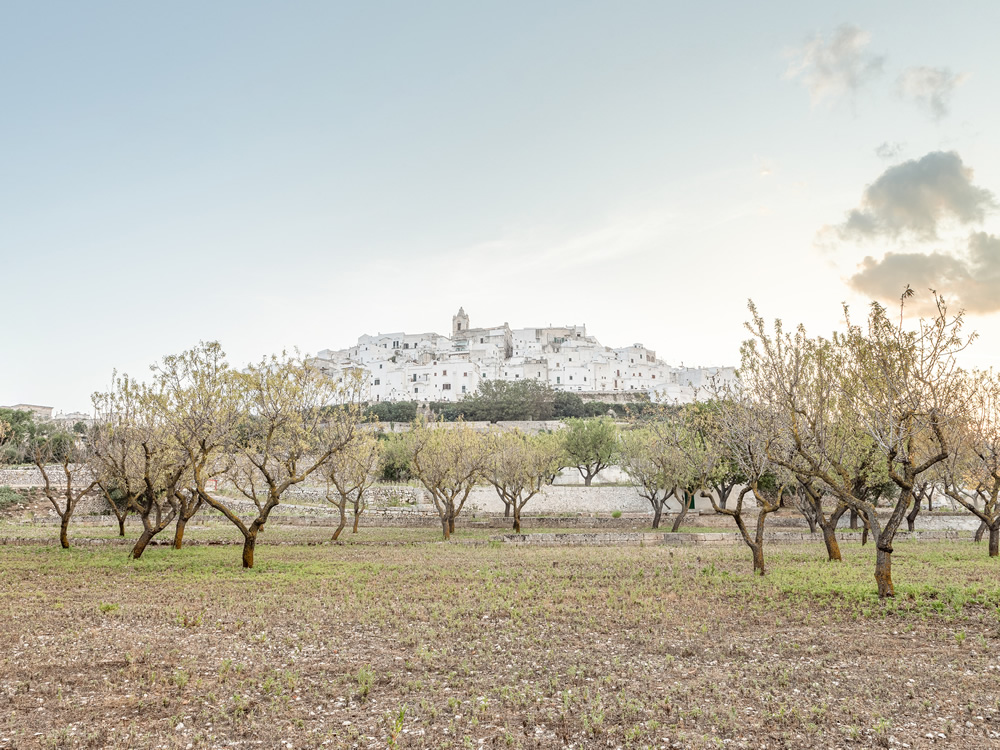 The White Pearl: A White Painted Village In Itria's valley By Tiago And Tania