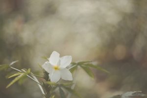 Personal Best: Vanila Balaji