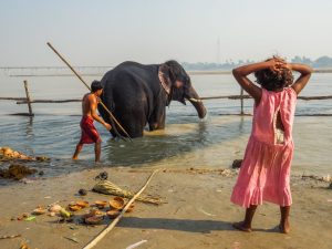 Hajipur, India