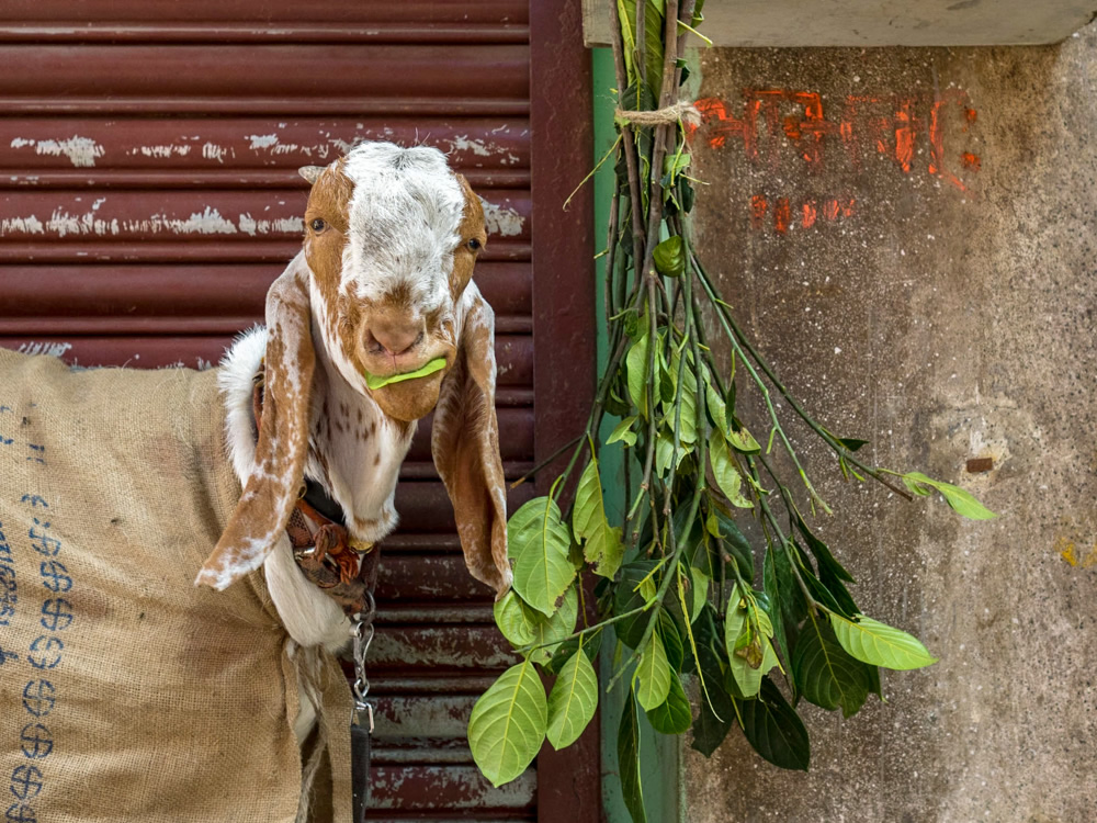 Kolkata, India