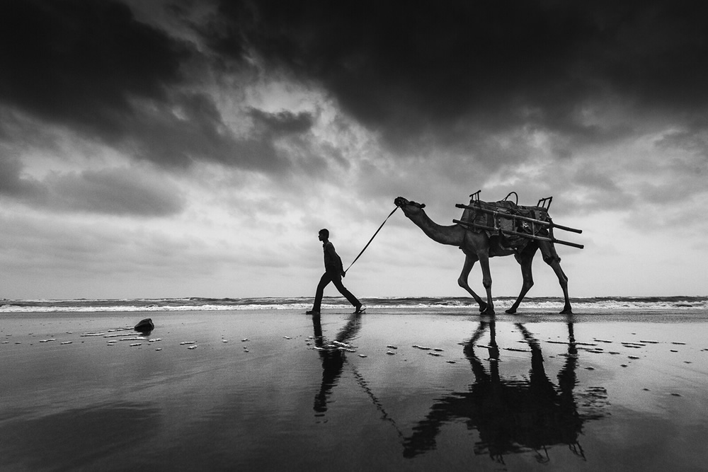 Creating the Best Black & White Picture - Ultimate Tips & Examples