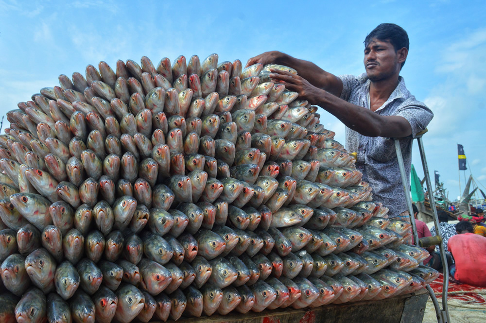 My Personal Best: Bangladeshi Photographer Emran Hossan